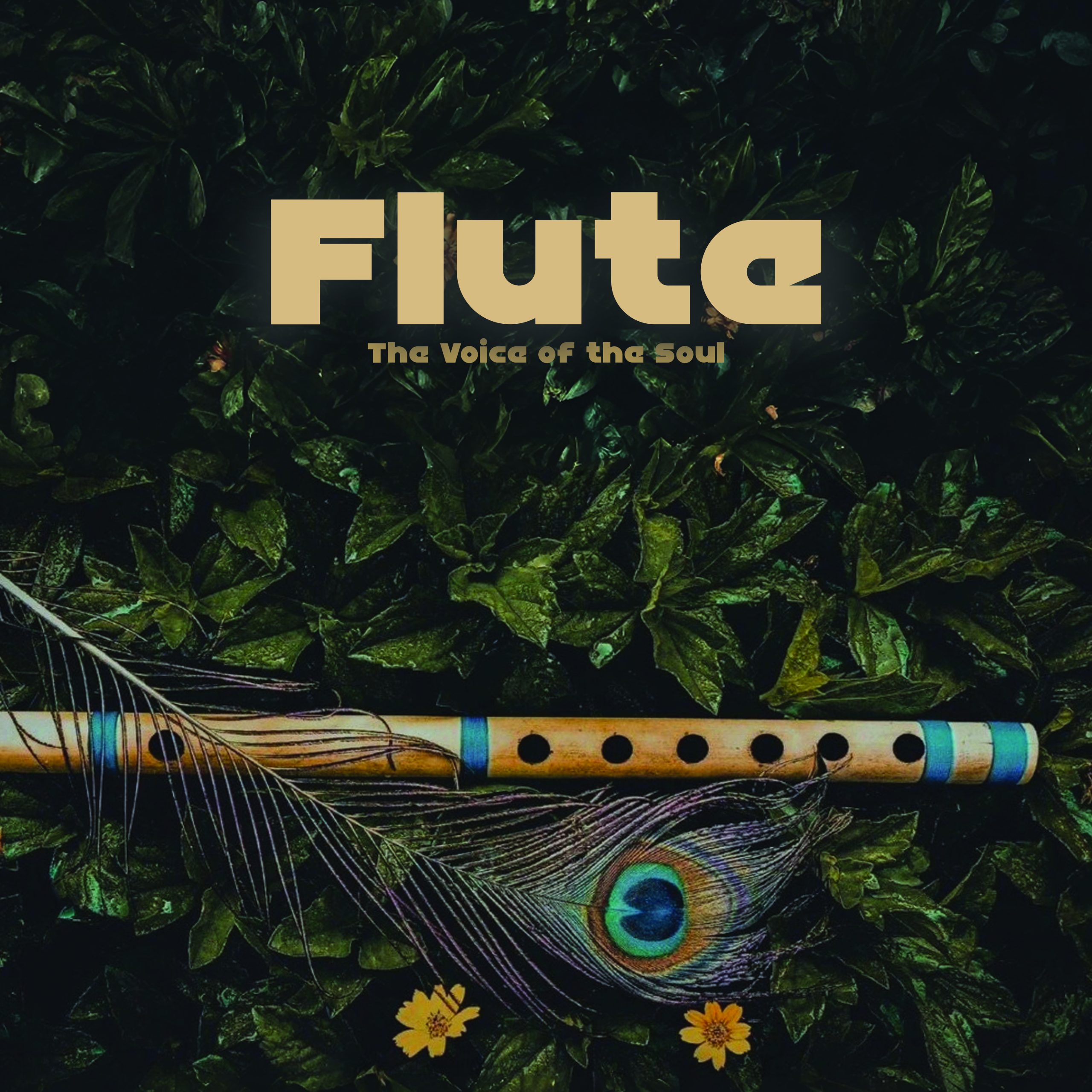 Read more about the article Flute